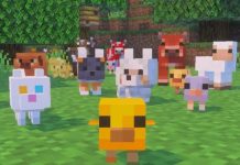 Minecraft 2026 güncellemesi