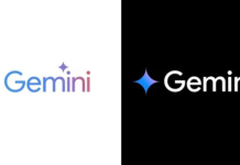Google Gemini veri kullanımı
