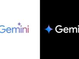 Google Gemini veri kullanımı