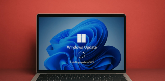 Windows 11 güncelleme sorunu