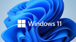 Windows 11 güncelleme hatası