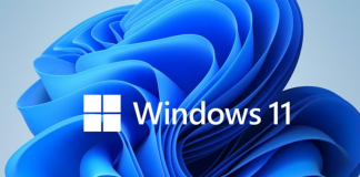 Windows 11 güncelleme hatası