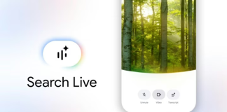 Google Search Live Türkiye