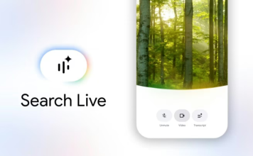 Google Search Live Türkiye