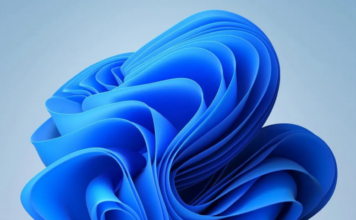 Windows 11 performansı