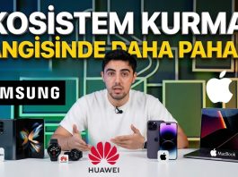 Teknoloji ekosistem maliyeti