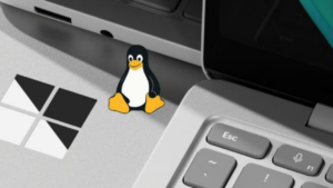 Windows yerel Linux komutları
