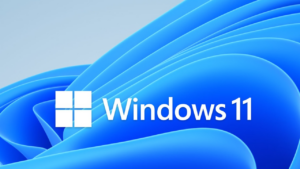 Windows 11 performansı