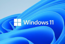 Windows 11 Özellikler penceresi