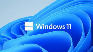 Windows 11 Özellikler penceresi