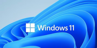 Windows 11 Özellikler penceresi