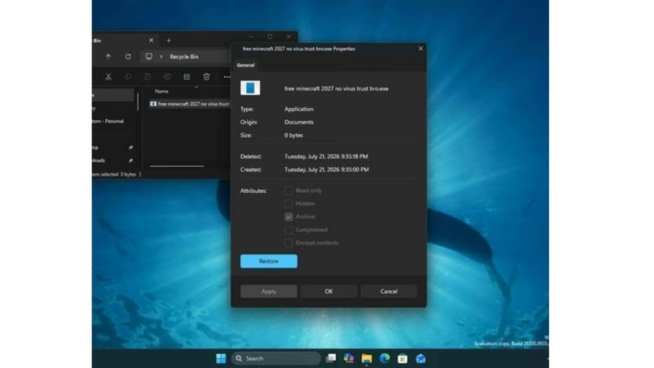 Windows 11 Özellikler penceresi