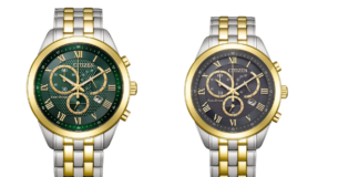 Citizen Eco-Drive saat
