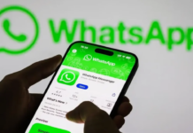 WhatsApp Web’e 27 Yeni Tema Seçeneği Geldi! WhatsApp Web kişiselleştirme